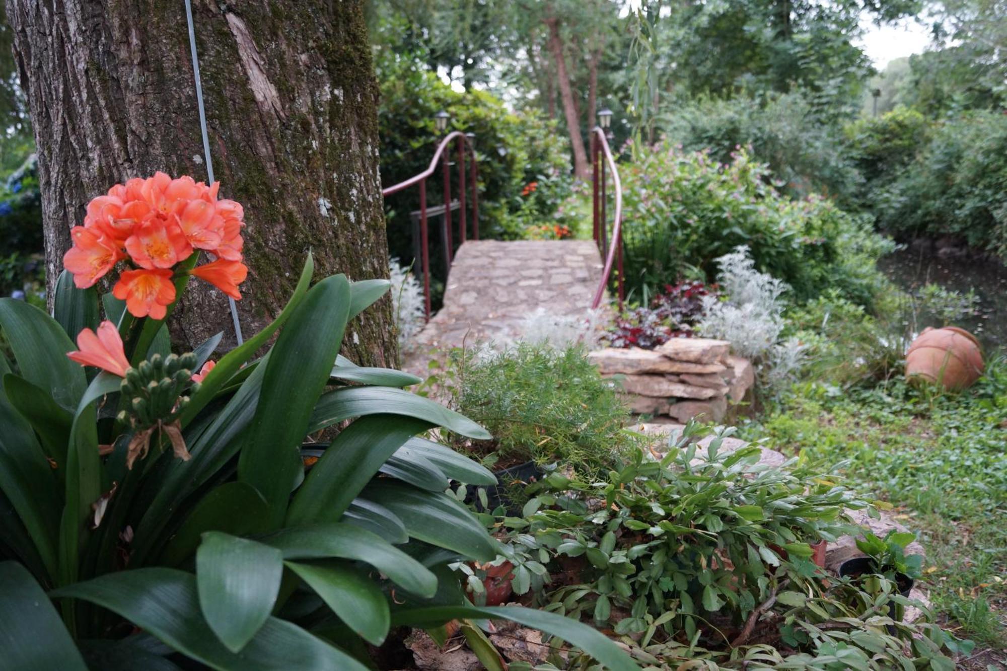 Bed and Breakfast Le Moulin Du Bignon Lassy Zewnętrze zdjęcie