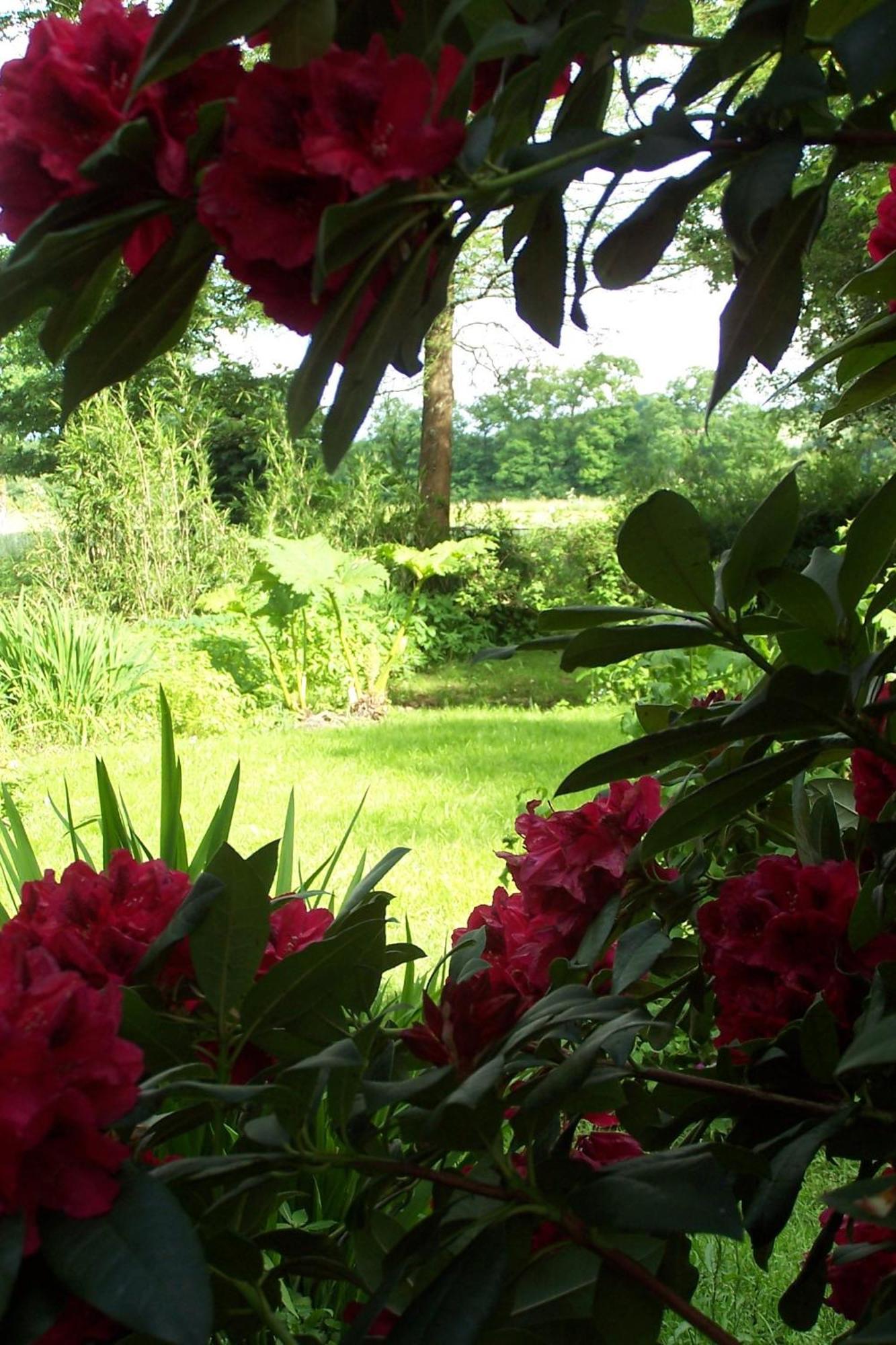 Bed and Breakfast Le Moulin Du Bignon Lassy Zewnętrze zdjęcie